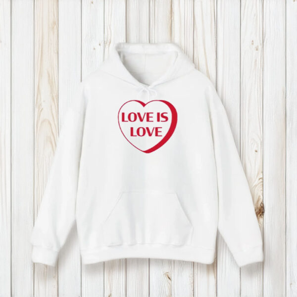 Love Is Love T-Shirt2